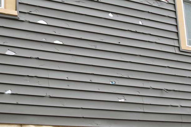Best Dumpster Rental Services  in Burley, ID