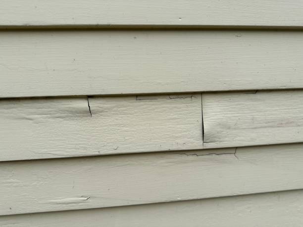 Best Shed Removal  in Burley, ID